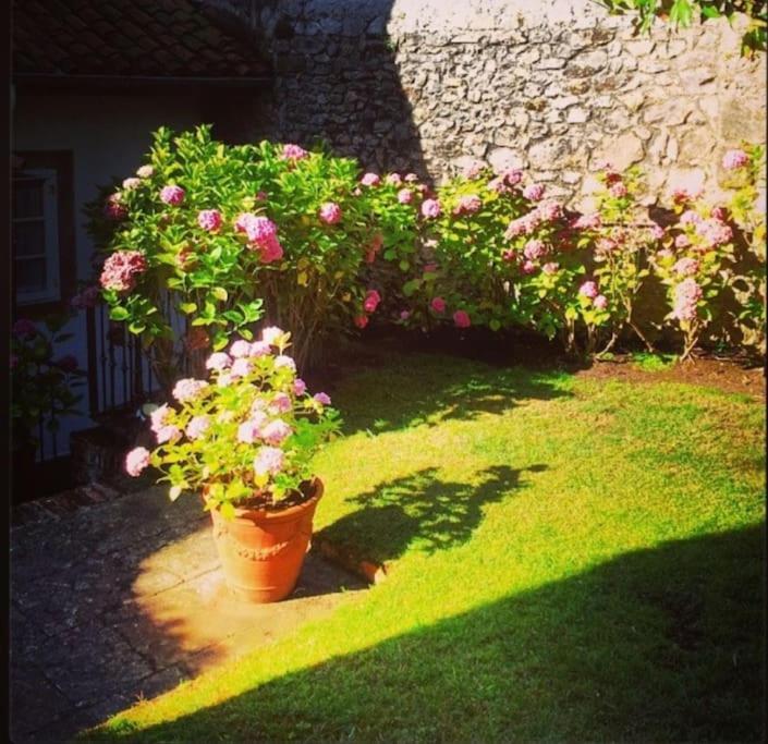 Mima'S House - La Casa De Mima Villa Comillas Eksteriør billede